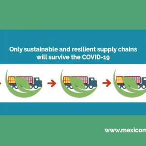supply chains