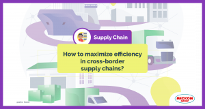 Infographic how to maximize efficiency in cross-border supply chains