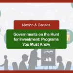 Governments on the Hunt for Investment: Programs You Must Know